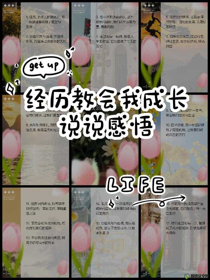 自己坐下去后的一系列奇妙经历与感悟