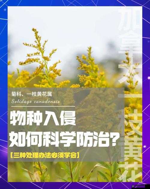 如何在保护生物多样性的同时有效防治入侵物种？——以加拿大一枝黄花为例