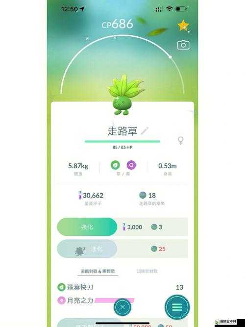 全面解析精灵宝可梦GO（Pokemon Go）道馆挑战奖励内容及机制